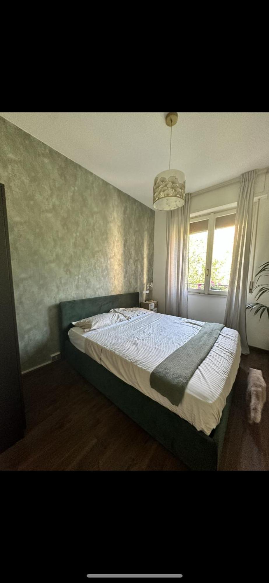 Kittens House Milano